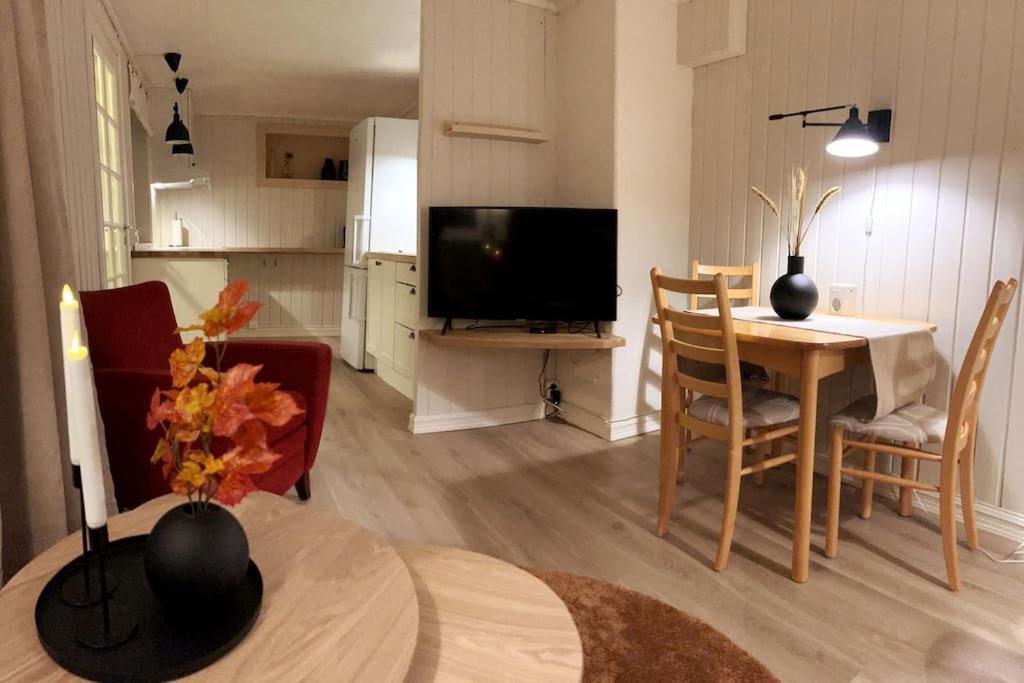 Sentralt Pa Med Egen Inngang Apartment *